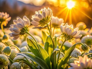 Obraz premium Fresh Morning Blooms Unfolding Their Intricate Petals in a Lush Garden Setting of Vibrant Colors
