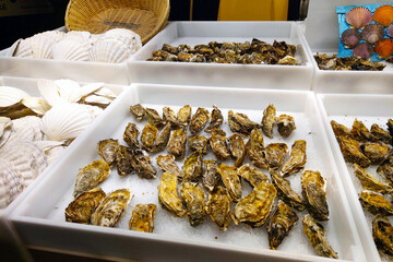 Fresh Oysters and Scallops Display at Seafood Market for Culinary Inspiration