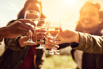 Friends, picnic and people toast with alcohol on holiday, vacation and adventure outdoors. Lens flare, happy and men and women cheers with drinks for social gathering, celebration and fun on weekend