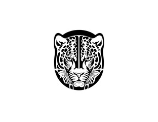 cat on white