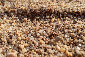 Close-Up of Sandy Pebbles on a Beach for Nature Backgrounds and Textures