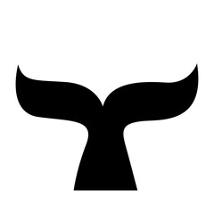 tail of a whale in the water