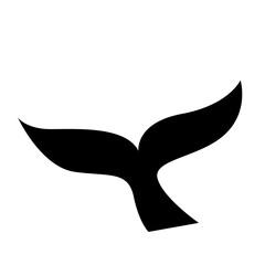 tail of a whale in the water