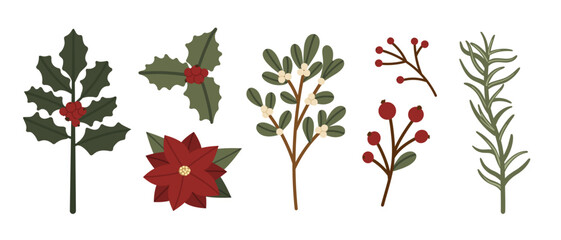 Christmas Winter Botanical Plants Vector Set