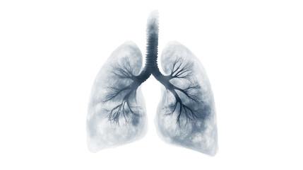 
Image of human lungs made up of smoke