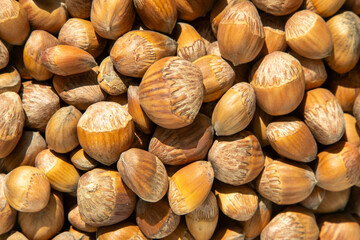 Hazelnut bowl food. Kernel raw seed. Hazel nut