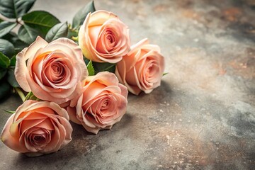 Blush roses on textured neutral background with tilted angle