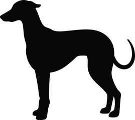 Vector Dog Graphic for Designers