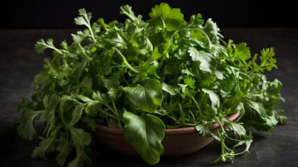 Fototapeta premium Fresh assortment of leafy greens including cilantro in bowl on dark background