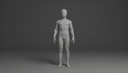 Model of human body showcasing anatomical structure and posture. Physiology.