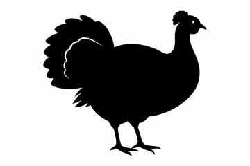 turkey poultry silhouette, thanksgiving turkey silhouette vector, turkey bird