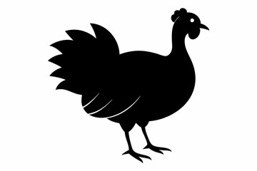 turkey poultry silhouette, thanksgiving turkey silhouette vector, turkey bird
