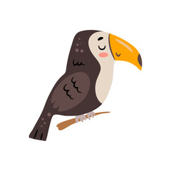 Obraz premium Wildlife and nature of America, isolated cute toucan bird with massive beak. Vector feathered creature of tropical and subtropical forests. Zoo or reserve park animals. Avifauna of jungle