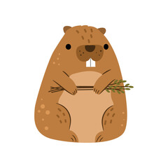 Beaver or castor animal, forest inhabitant. Vector illustration of wild rodent with tooth, funny forest builder with branch in hands. Cheerful humor pet for kids