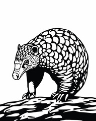 Pangolin black and white vector art illustration