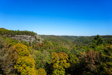 Fototapeta premium autumn in the mountains forest