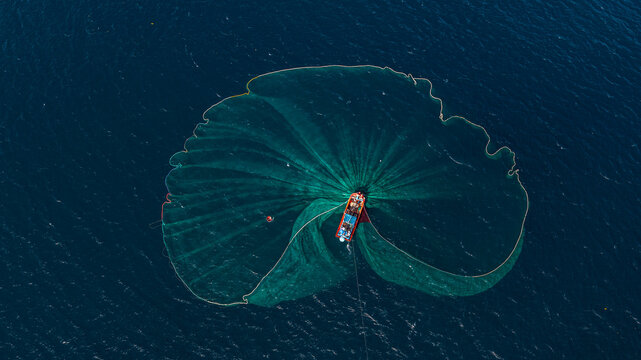 Anchovy fishing season in Dai Lanh sea, Phu Yen, Vietnam.