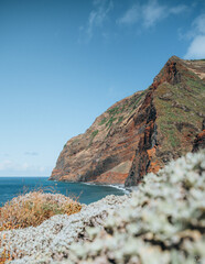 rocky coast of the sea