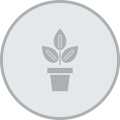 Indoor Plants Icon Design