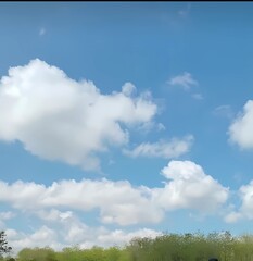 Obraz premium field and blue sky