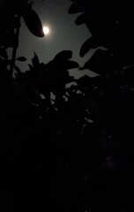 halloween night background