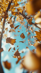 Autumn Leaves Wallpaper with Soft Focus