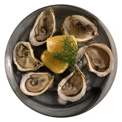 Raw oysters on the half shell prepared at home