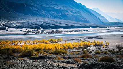 Shyok River view point on the tourist route of Leladakh, India.