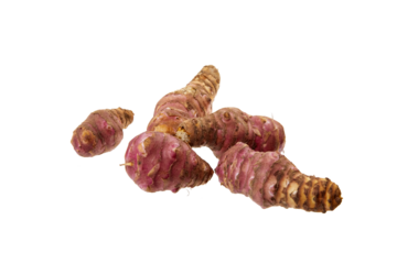 sunchoke roots isolated on white or transparent png