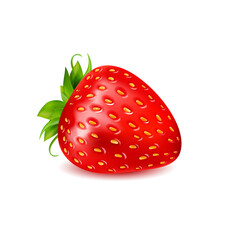 different fruit collection vector art illustration