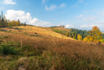 Chotarny kopec hill in autumn Javorniky mountains in Slovakia