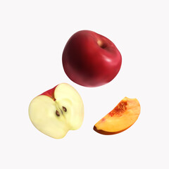 different fruit collection vector art illustration