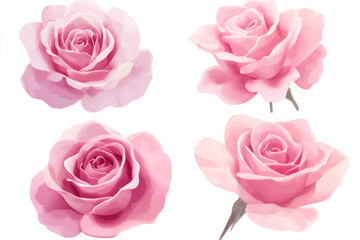A stunning watercolor set of elegant pink roses, each flower delicately hand-painted with soft gradients and realistic petals. Isolated on a white background, perfect for floral clipart in romantic