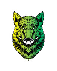 Head of a wild boar. Original vector illustration in vintage style. T-shirt design.