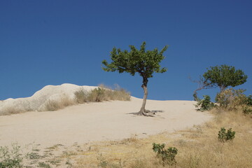 Obraz premium Journey to the ancient Christian city of Cappadocia (Goreme, Turkey)