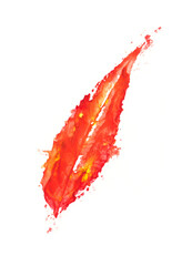 Colorful watercolor beautiful texture print of a tree leaf. Made by hand drawn