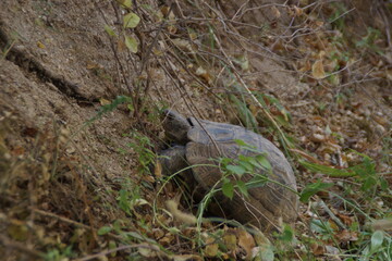 Journey to the ancient Christian city of Cappadocia (Goreme, Turkey)