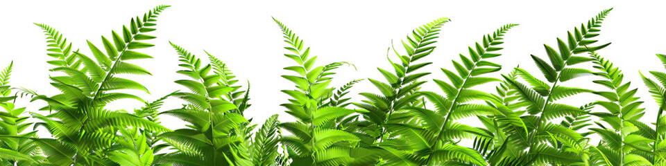 Bright Green: A group of fern fronds gracefully swaying in the breeze.