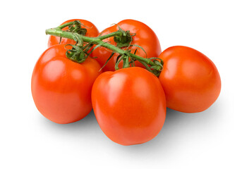 Tomatoes isolated on white background