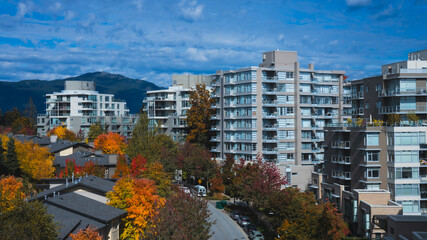 Aerial view of nicely treed street in a BC suburb displaying stunning Fall colors.
