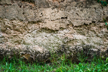 Empty light brown rough cave wall with grass field for abstract background and texture. beautiful patterns, space for work, banner, wallpaper close up.