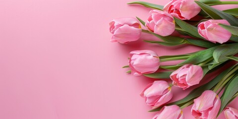 Obraz premium Pink tulips arranged in the bottom corner on a pastel pink background with copy space.
