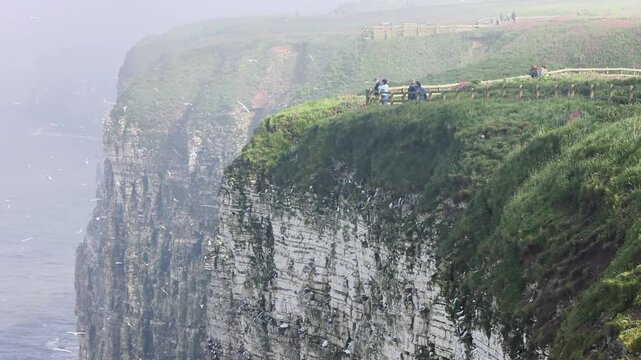 Bempton cliffs, Bempton, Yorkshire, UK- May 18 2024: People Birdwatching at Bempton Cliffs on a foggy day. 4K Video