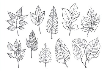 Obraz premium leaves for children's coloring book flat style, white background