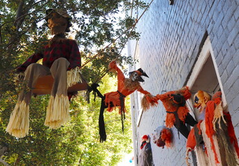 Garish Ghouls Hanging from Tree and Wall on Halloween