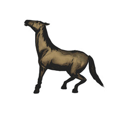 Horse poses animal ilustration vector isolated design 