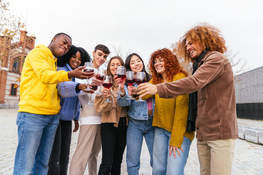 Group of multiethnic friends making a toast drinking wine outdoors