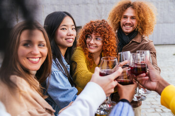 Group of multiethnic friends making a toast drinking wine together