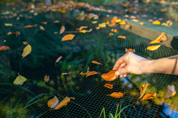 Blätter im Herbst vom Netz nehmen das einen Teich im Garten schützt