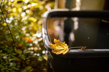 Ein Blatt liegt im Herbst auf dem Rand eines Regenfasses